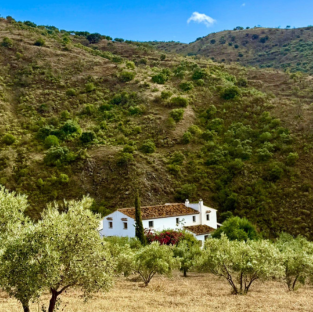 The House and Its History